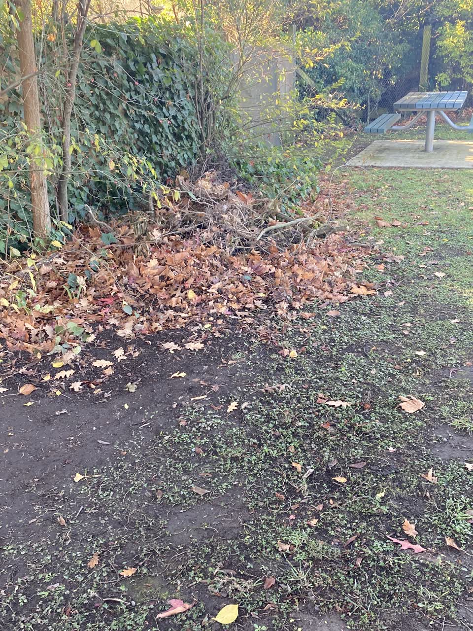 The photograph attached to this parks report