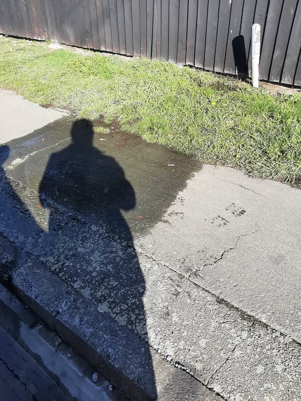 The photograph attached to this water leak report
