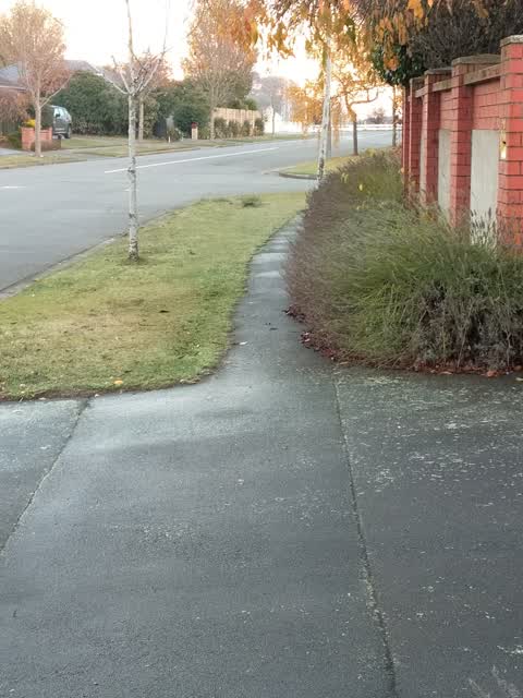 Roading/Streets, a report photo