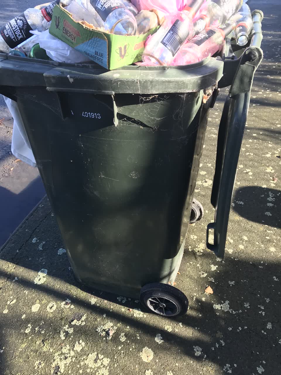 The photograph attached to this rubbish/recycling report