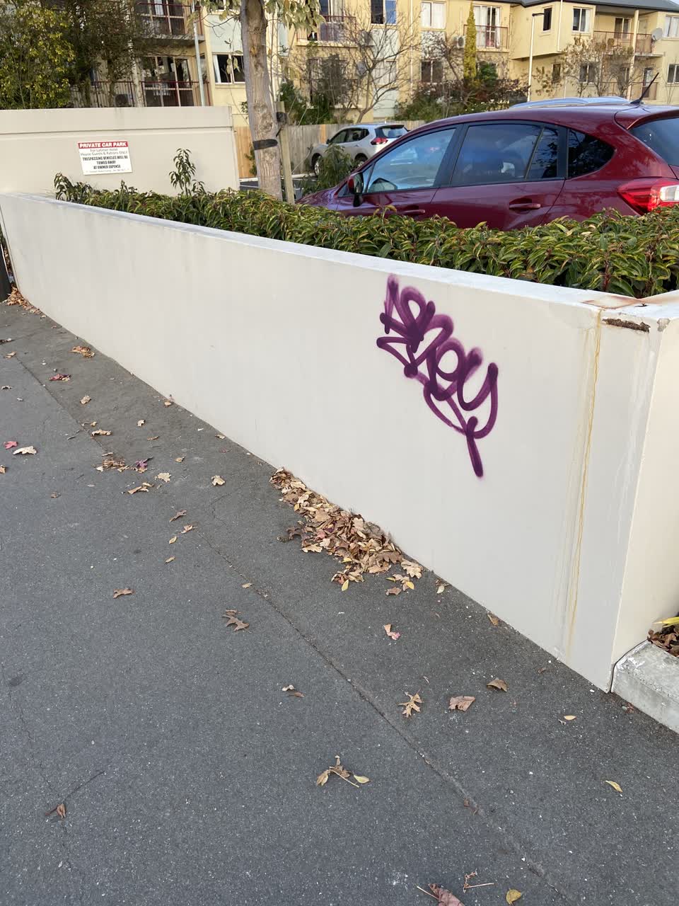 The photograph attached to this graffiti report