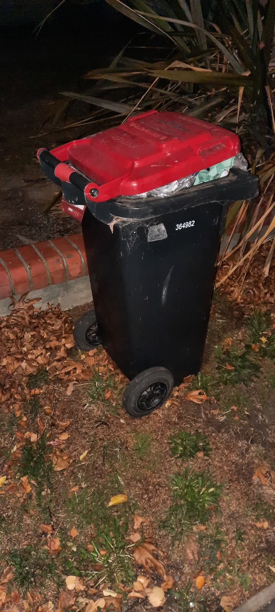 The photograph attached to this rubbish/recycling report