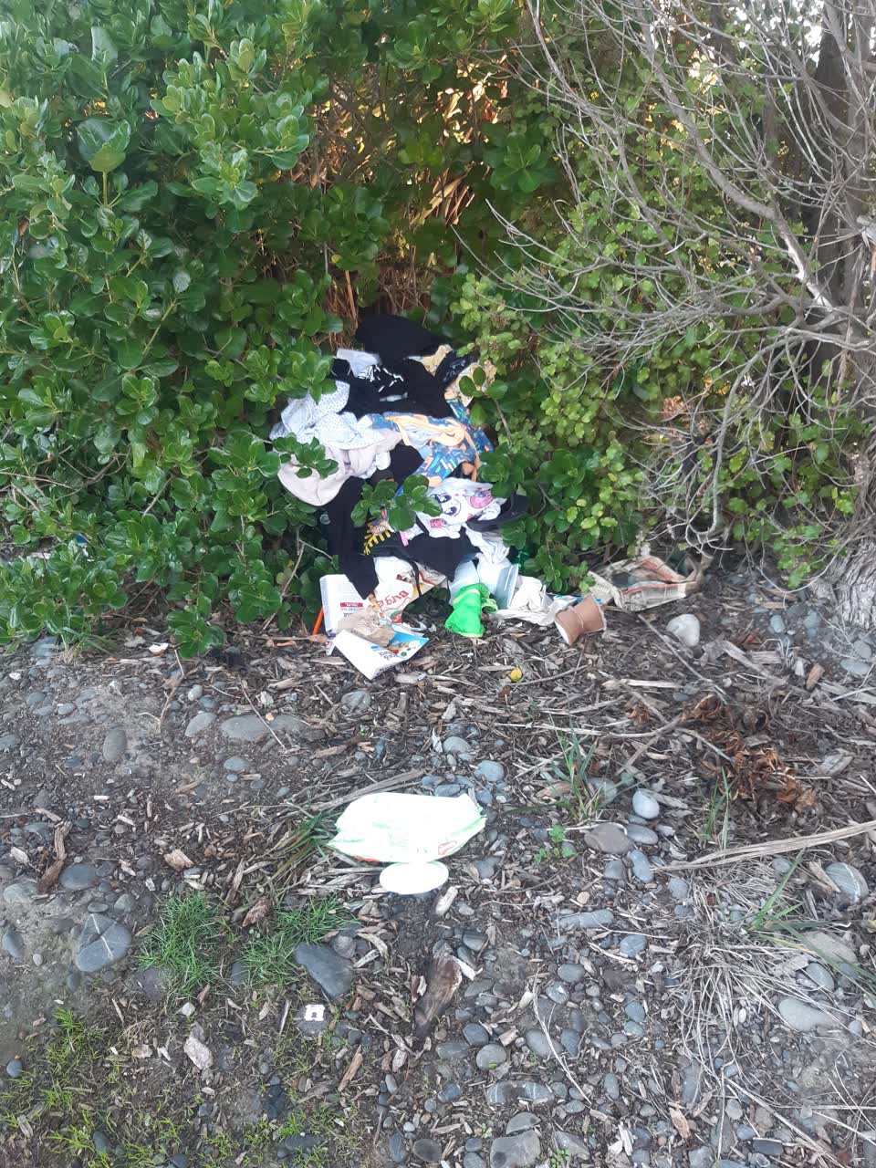 The photograph attached to this rubbish/recycling report