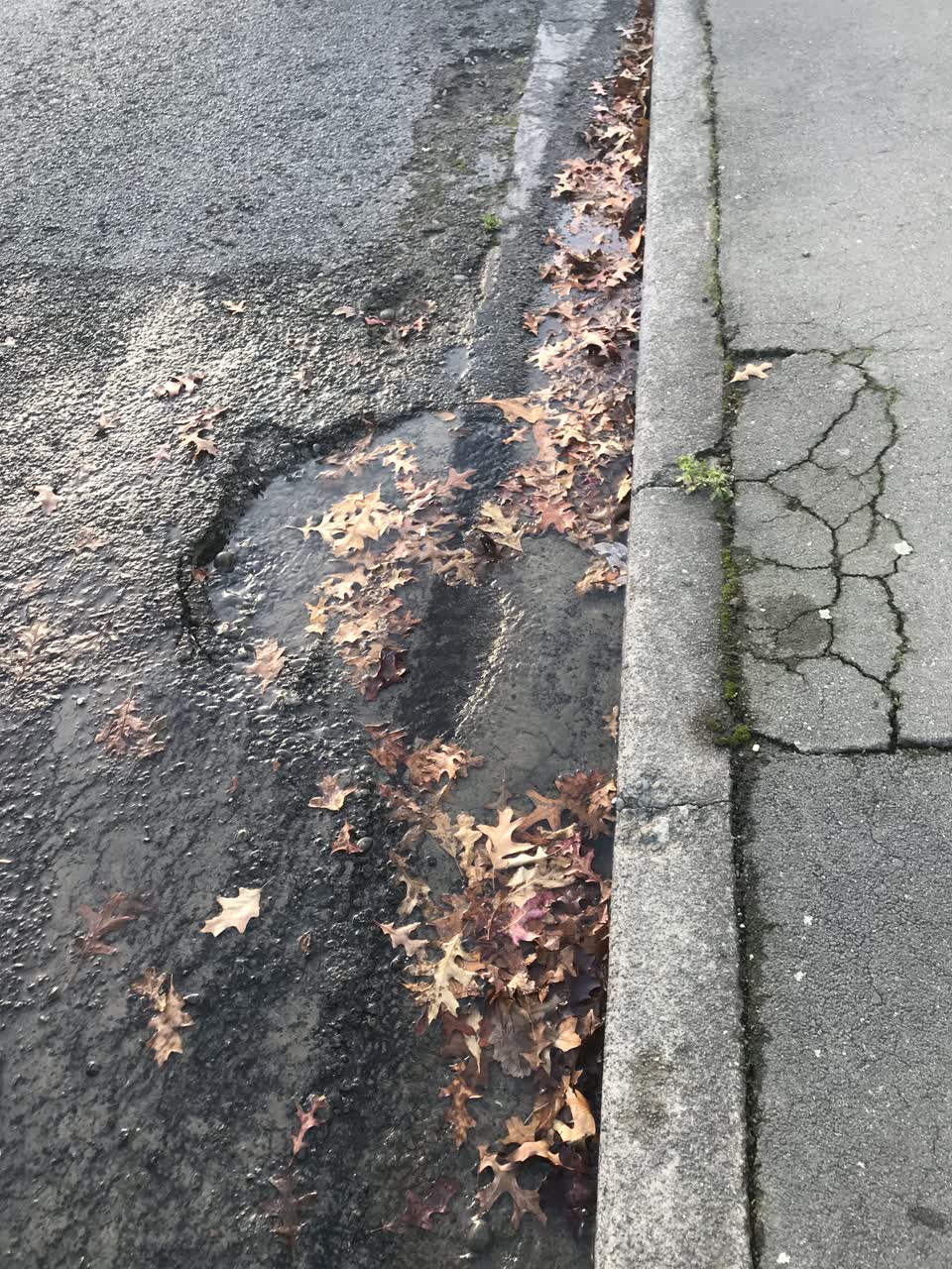 The photograph attached to this flooding report