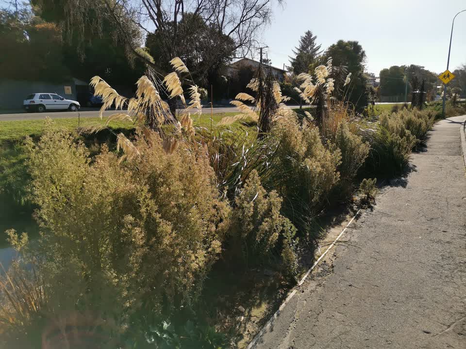 The photograph attached to this parks report
