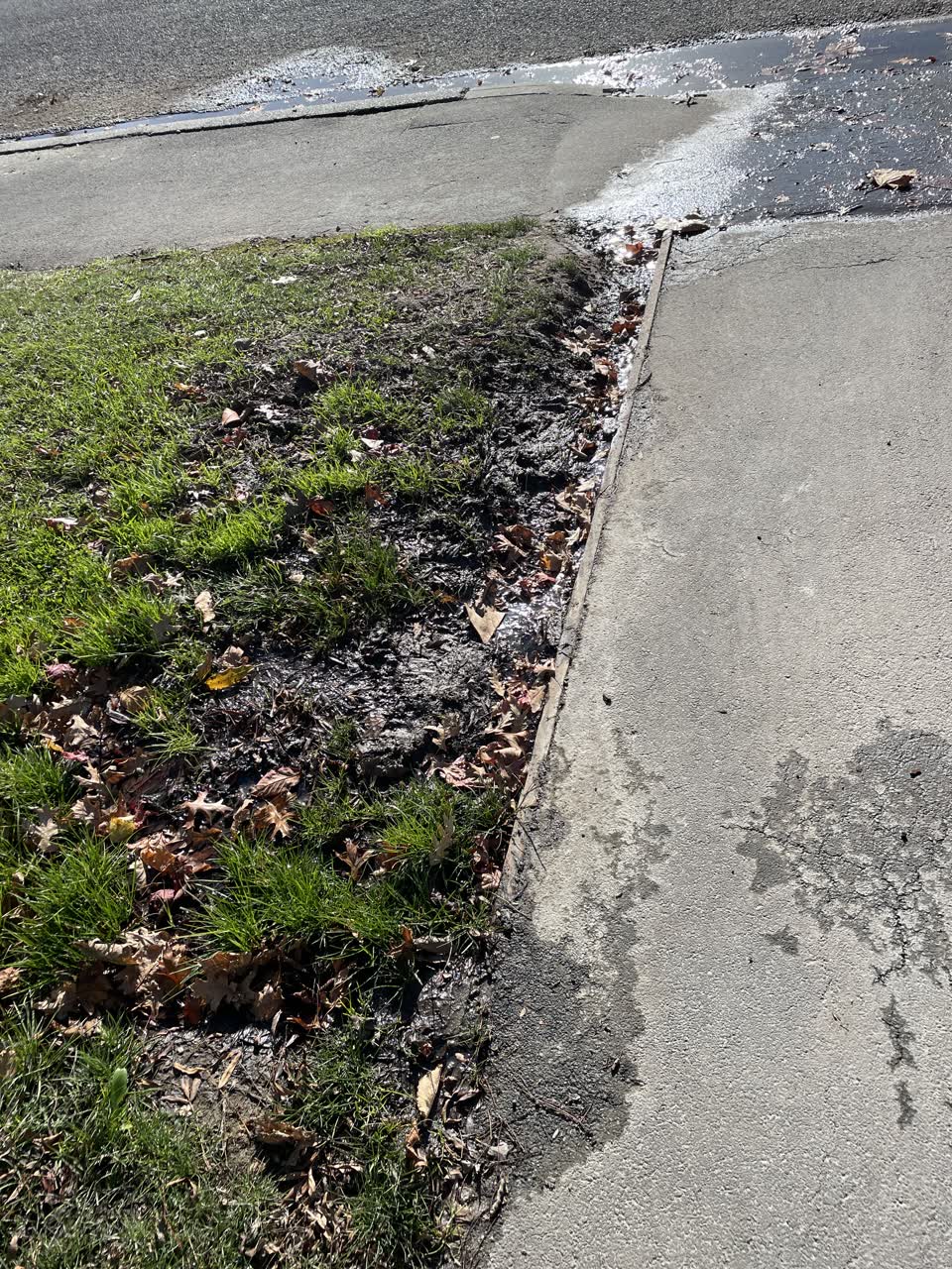 The photograph attached to this water leak report
