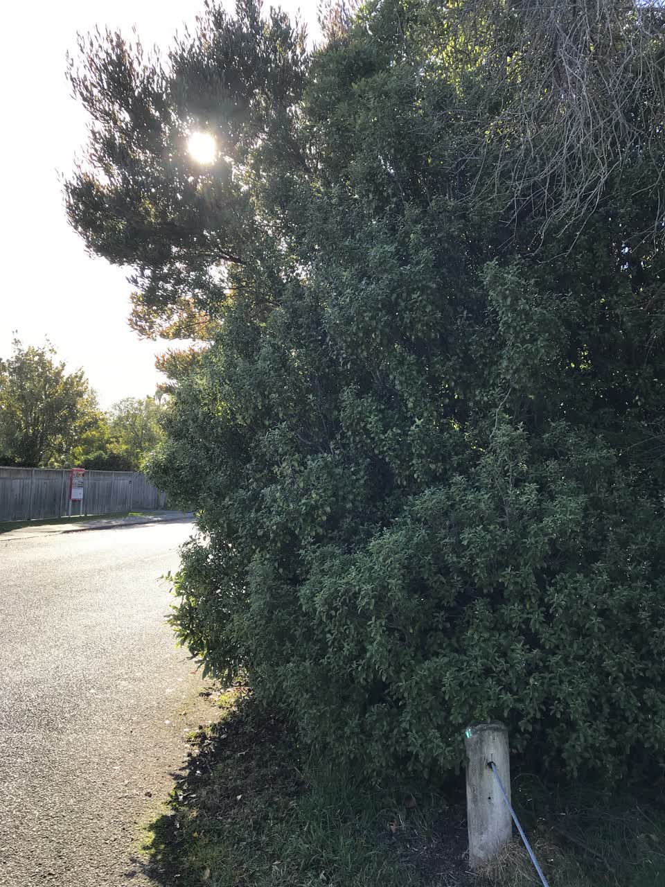 The photograph attached to this roading/streets report