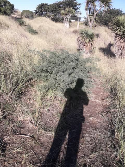 Parks, a report photo
