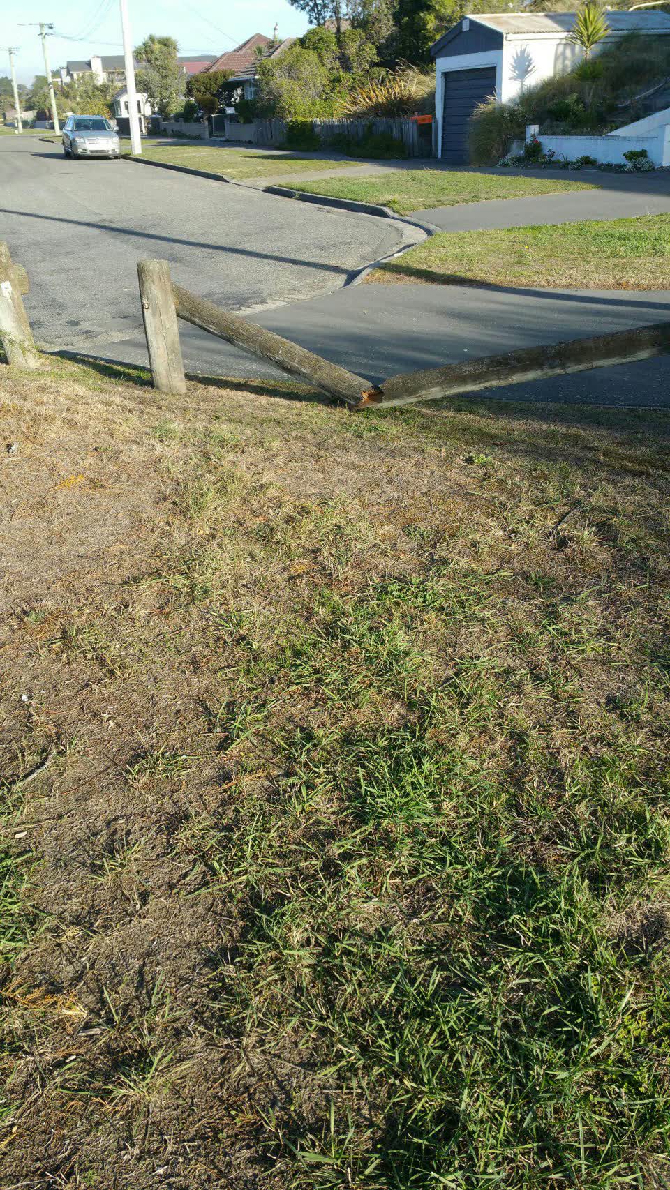 The photograph attached to this parks report