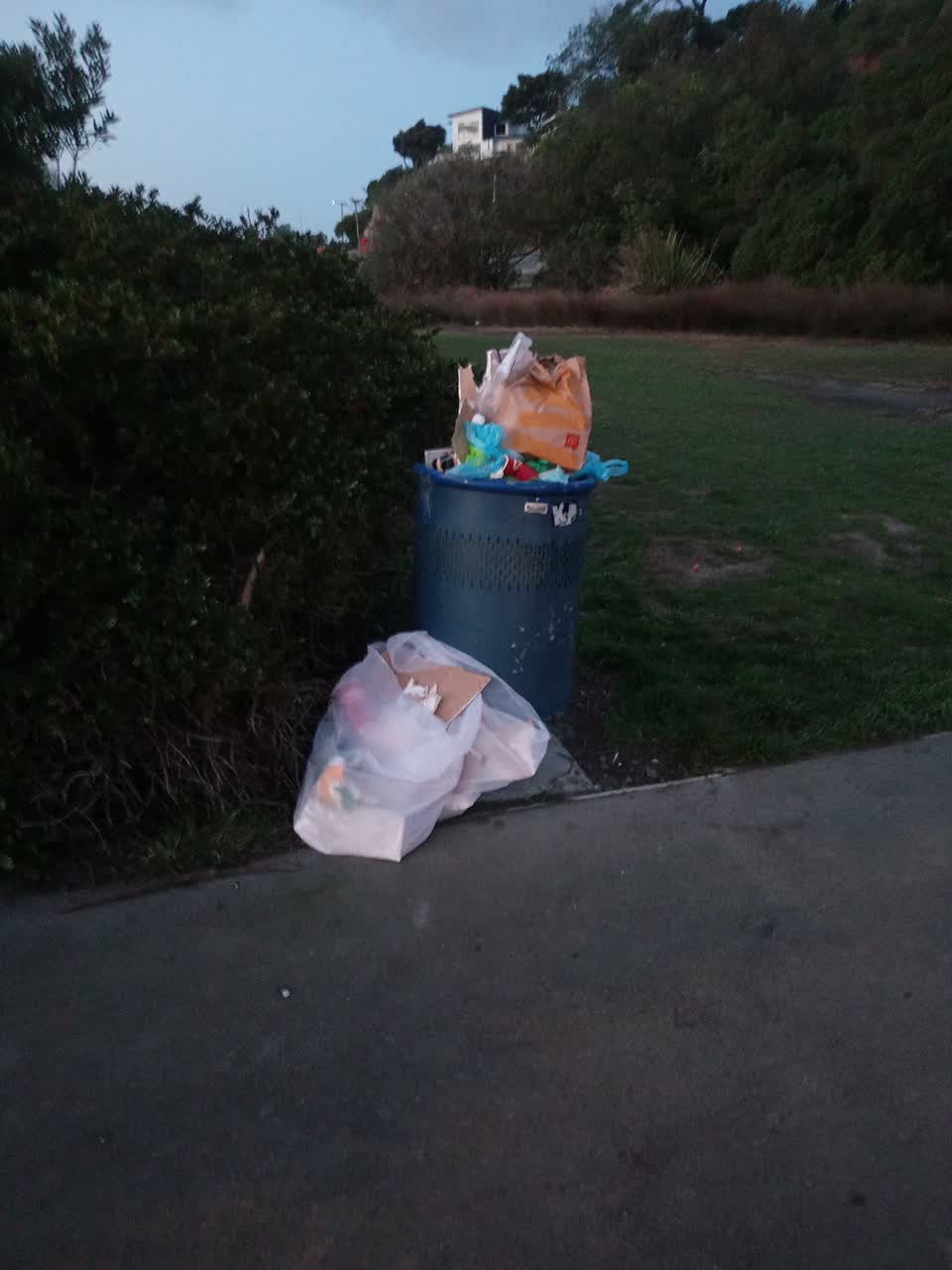 The photograph attached to this rubbish/recycling report