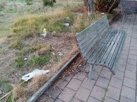 Rubbish/Recycling, a report photo
