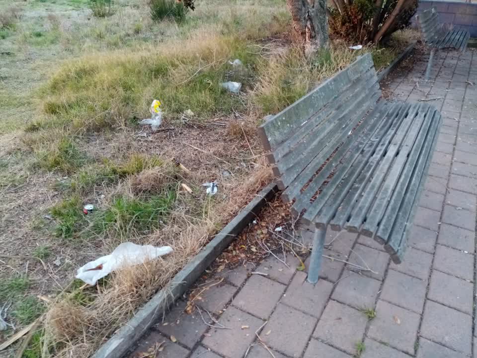 The photograph attached to this rubbish/recycling report