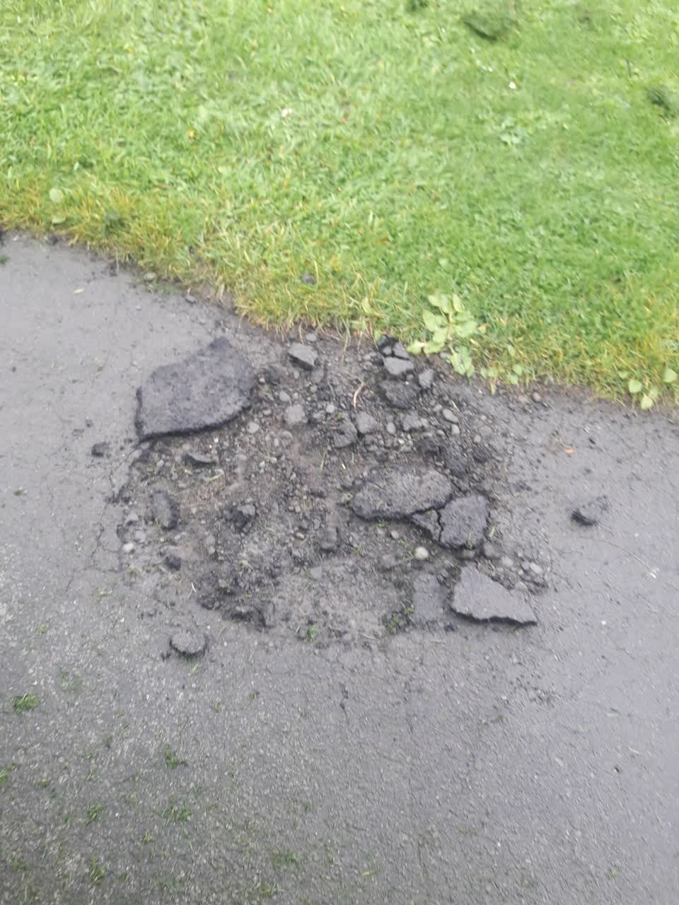 The photograph attached to this parks report