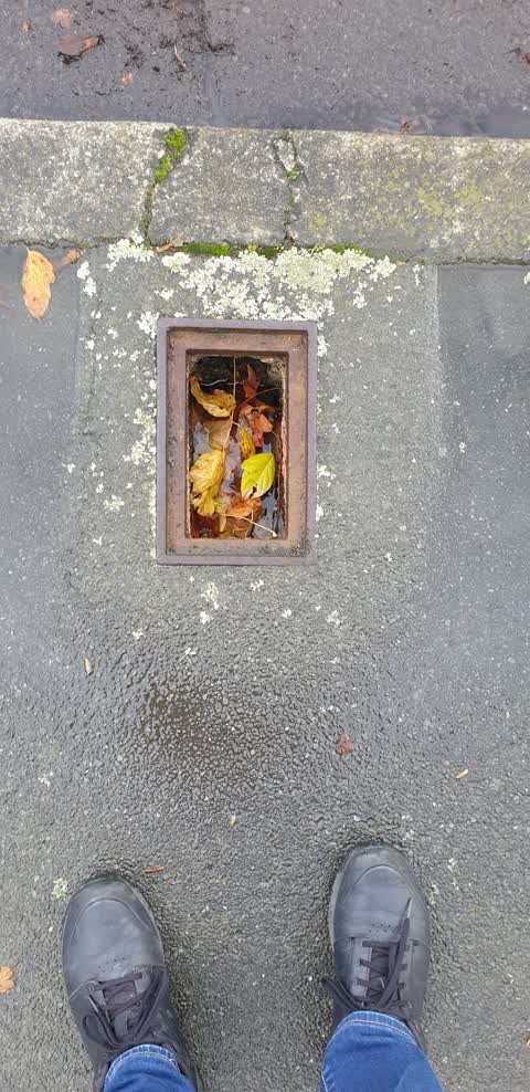 Roading/Streets, a report photo