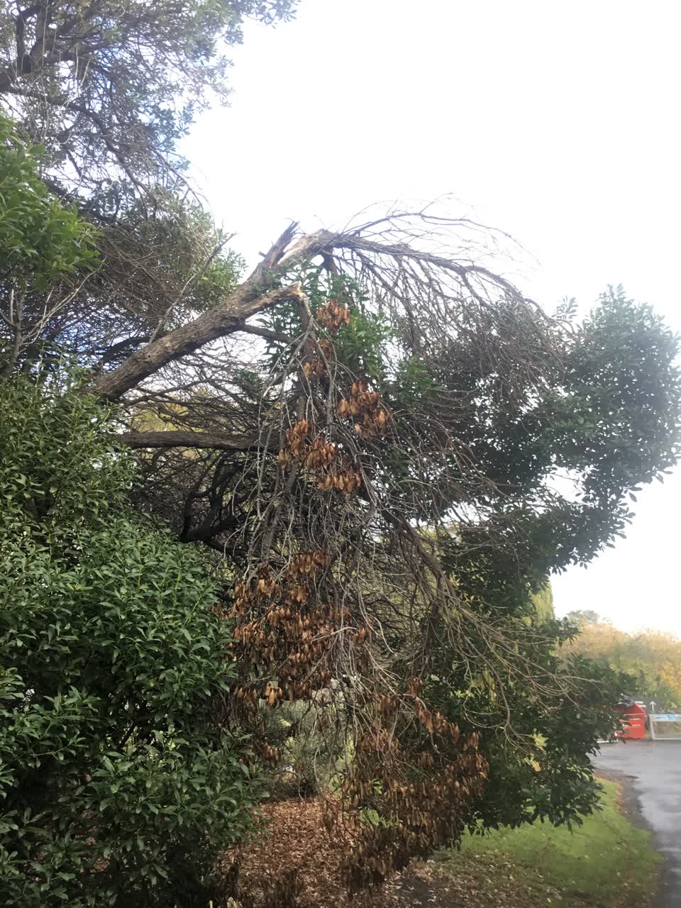 The photograph attached to this parks report
