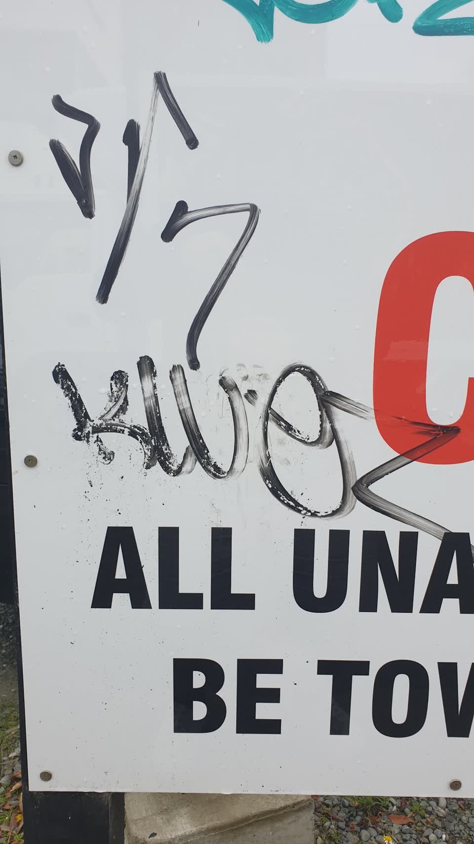 The photograph attached to this graffiti report