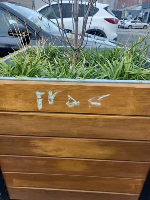 Graffiti, a report photo