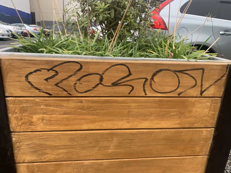 The photograph attached to this graffiti report