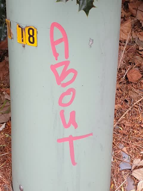 Graffiti, a report photo
