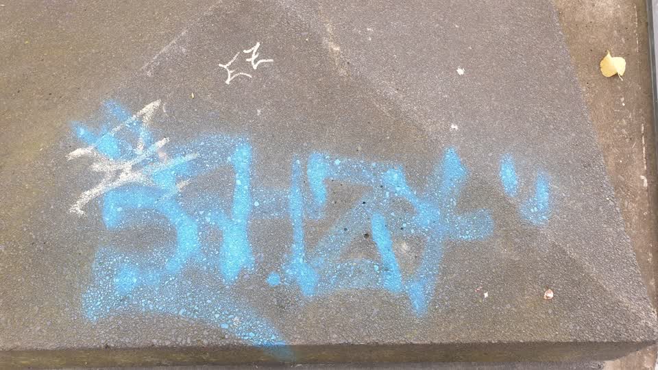 The photograph attached to this graffiti report