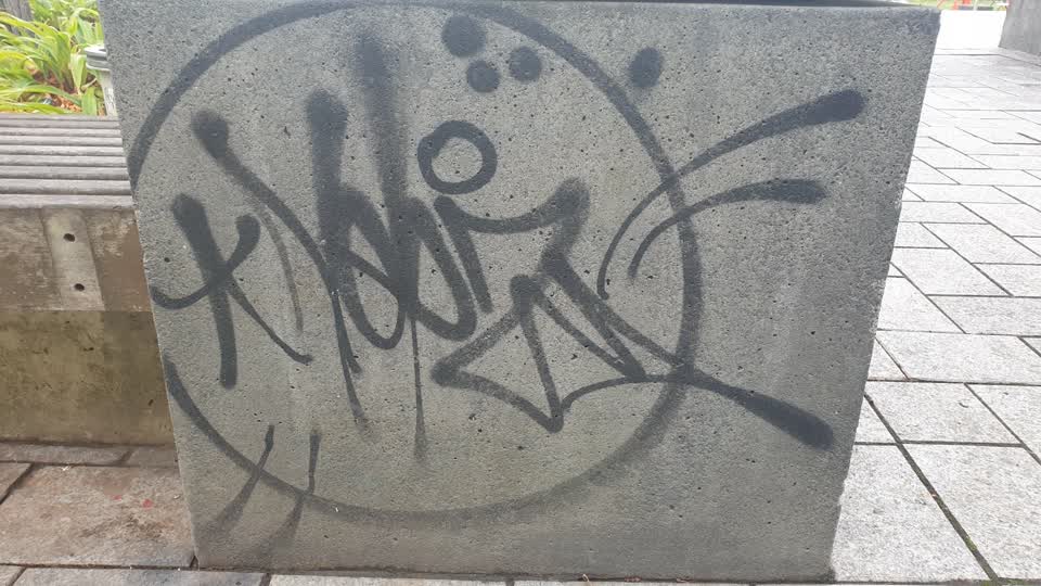 The photograph attached to this graffiti report