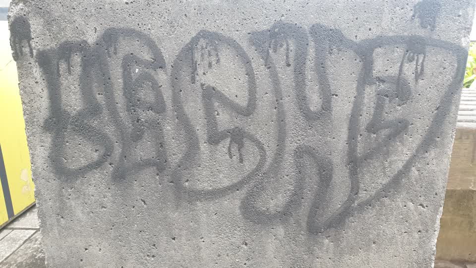 The photograph attached to this graffiti report