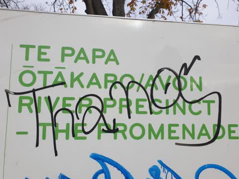 Graffiti, a report photo