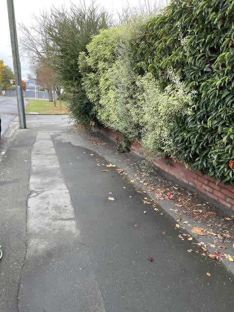Roading/Streets, a report photo