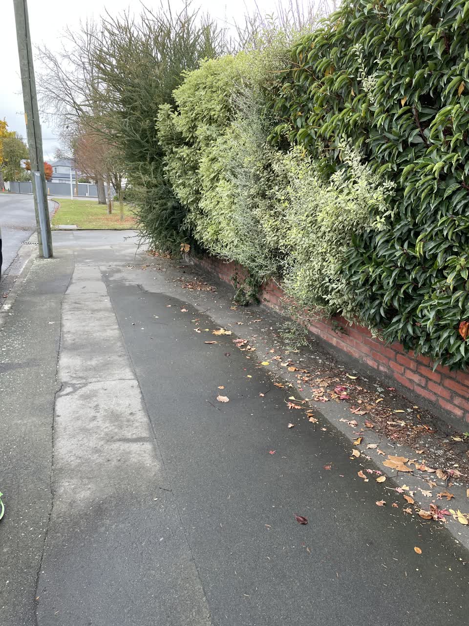 The photograph attached to this roading/streets report