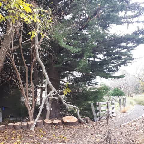 Parks, a report photo