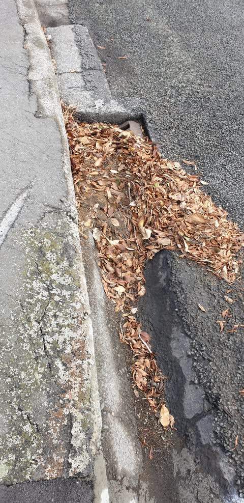 Wastewater/Stormwater, a report photo