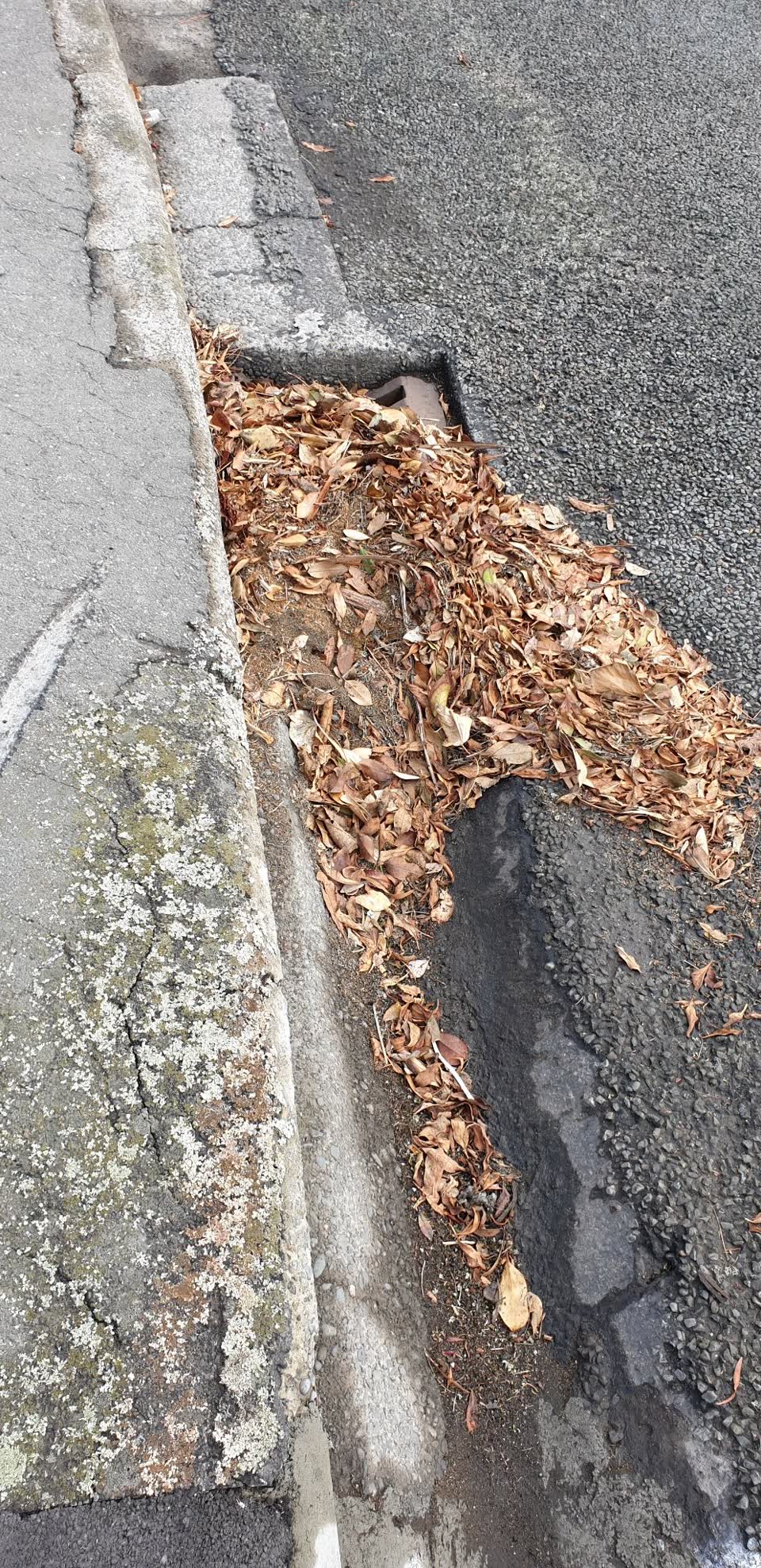The photograph attached to this wastewater/stormwater report