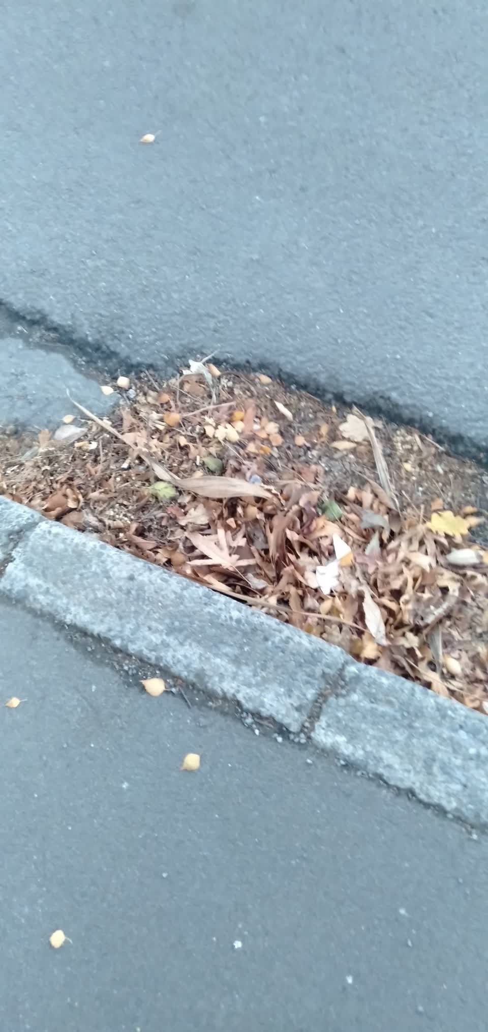 The photograph attached to this flooding report