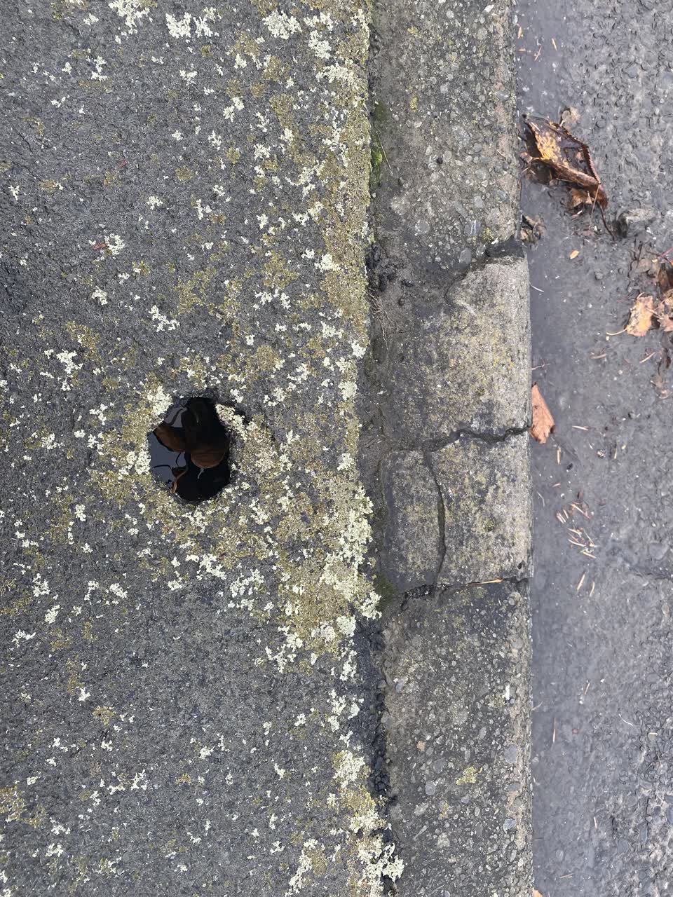 The photograph attached to this wastewater/stormwater report