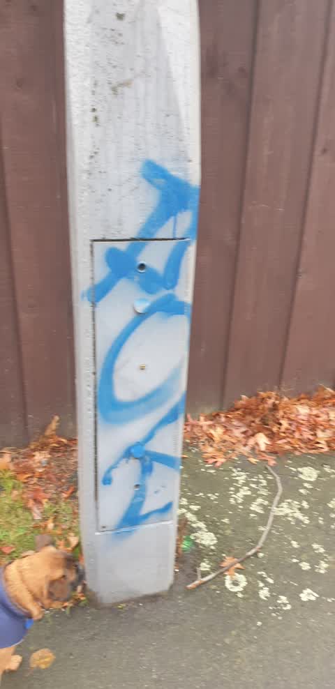 Graffiti, a report photo