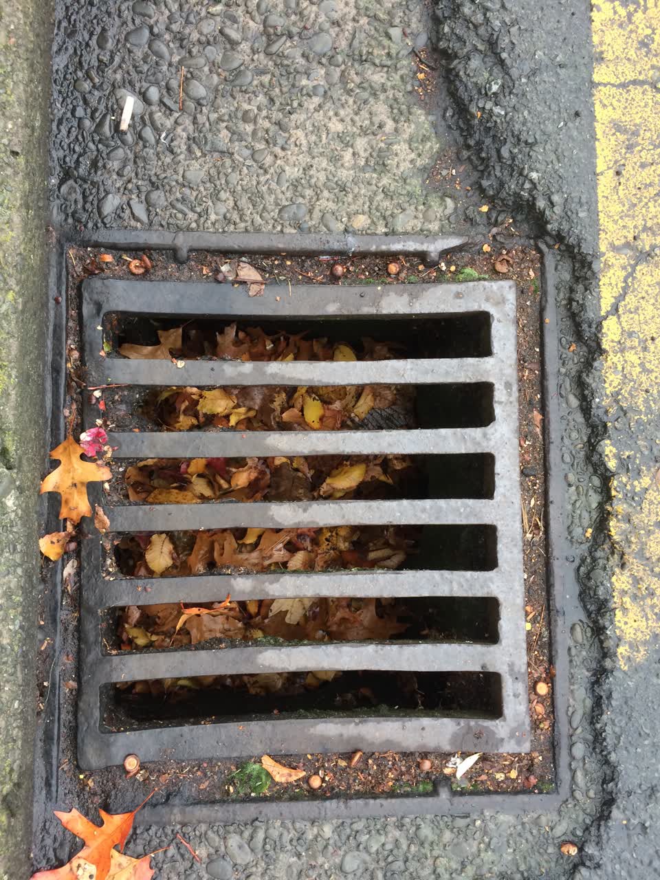 The photograph attached to this wastewater/stormwater report