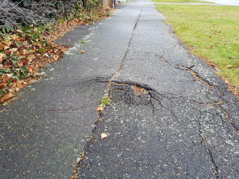 Roading/Streets, a report photo