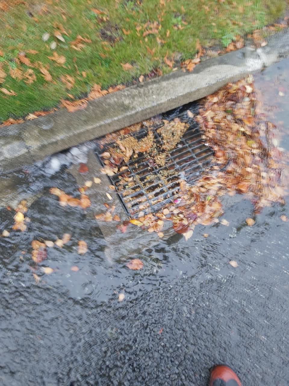 The photograph attached to this wastewater/stormwater report