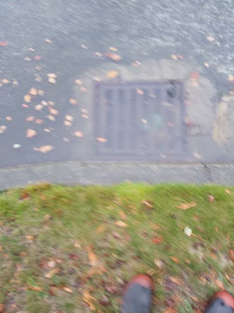 Wastewater/Stormwater, a report photo