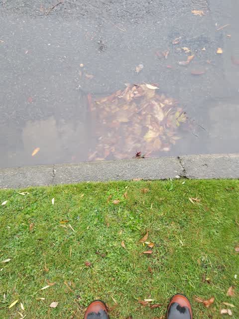 Wastewater/Stormwater — a report photo