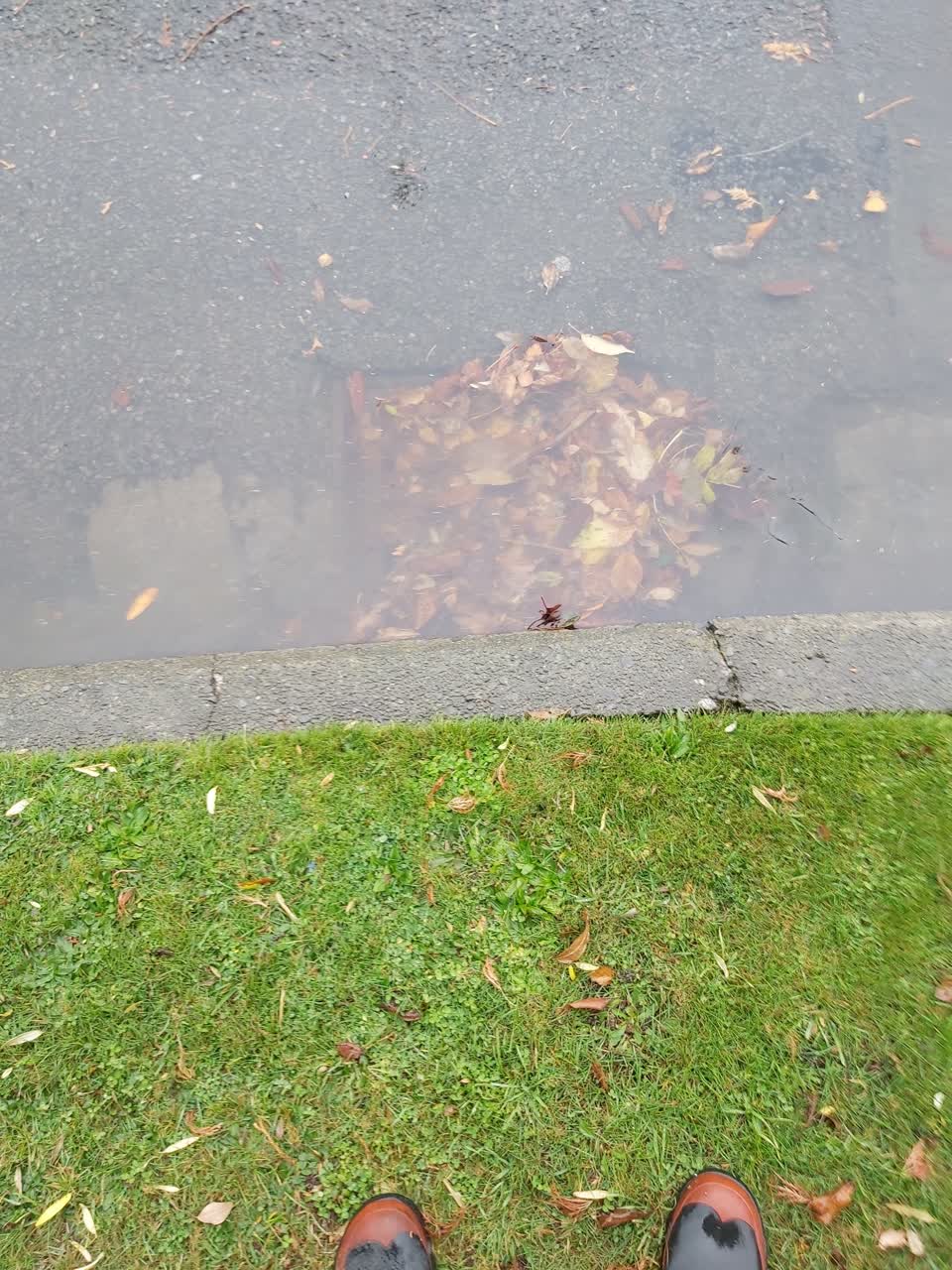 The photograph attached to this wastewater/stormwater report