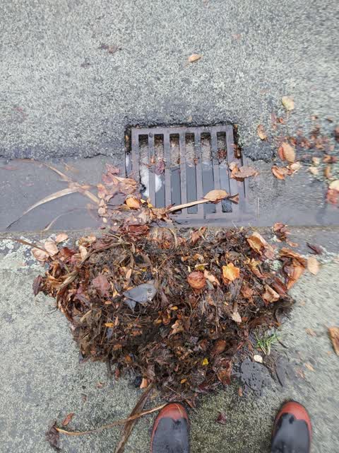 Wastewater/Stormwater, a report photo