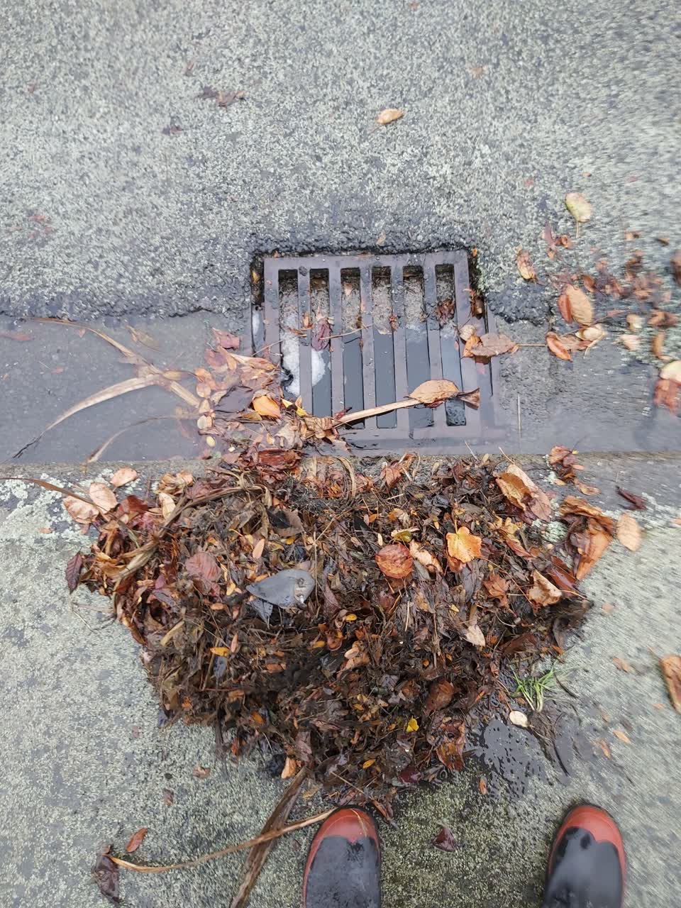 The photograph attached to this wastewater/stormwater report