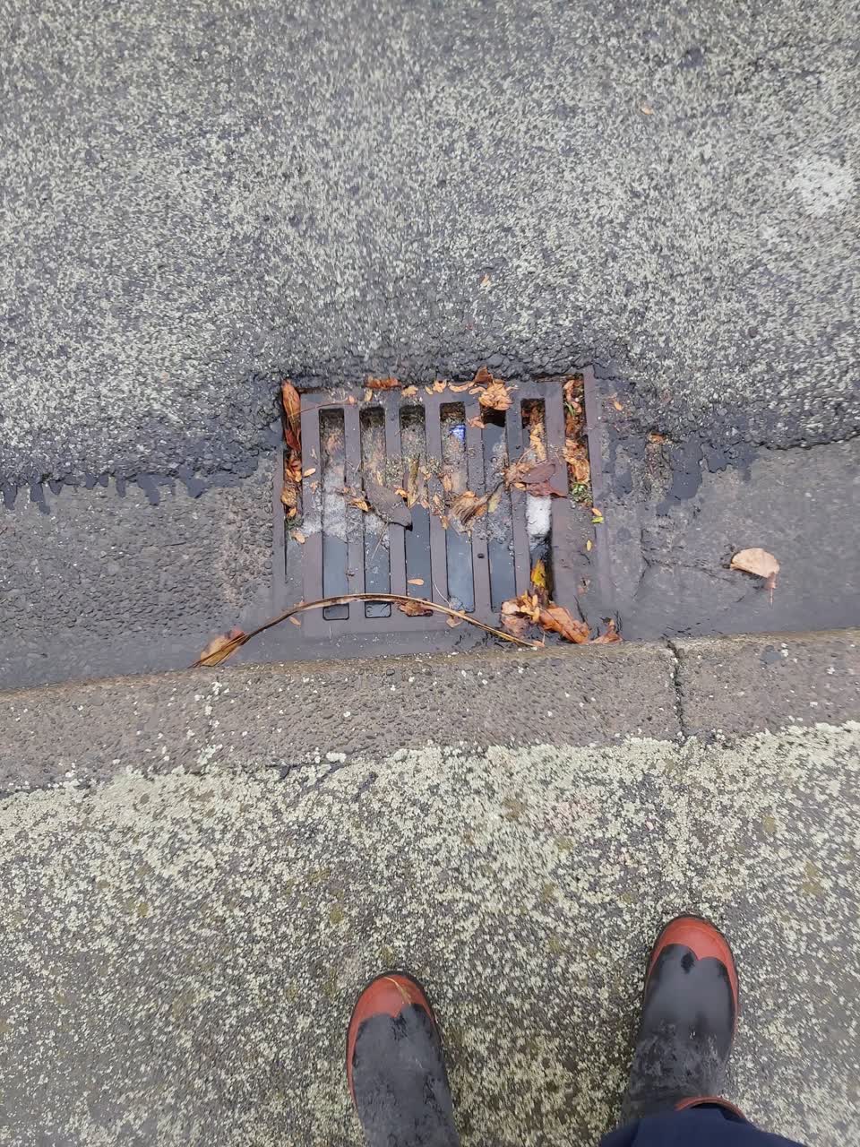 The photograph attached to this wastewater/stormwater report