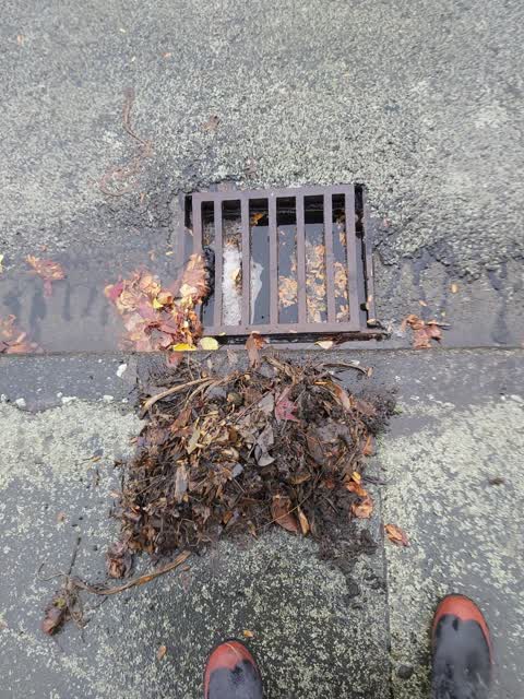 Wastewater/Stormwater, a report photo