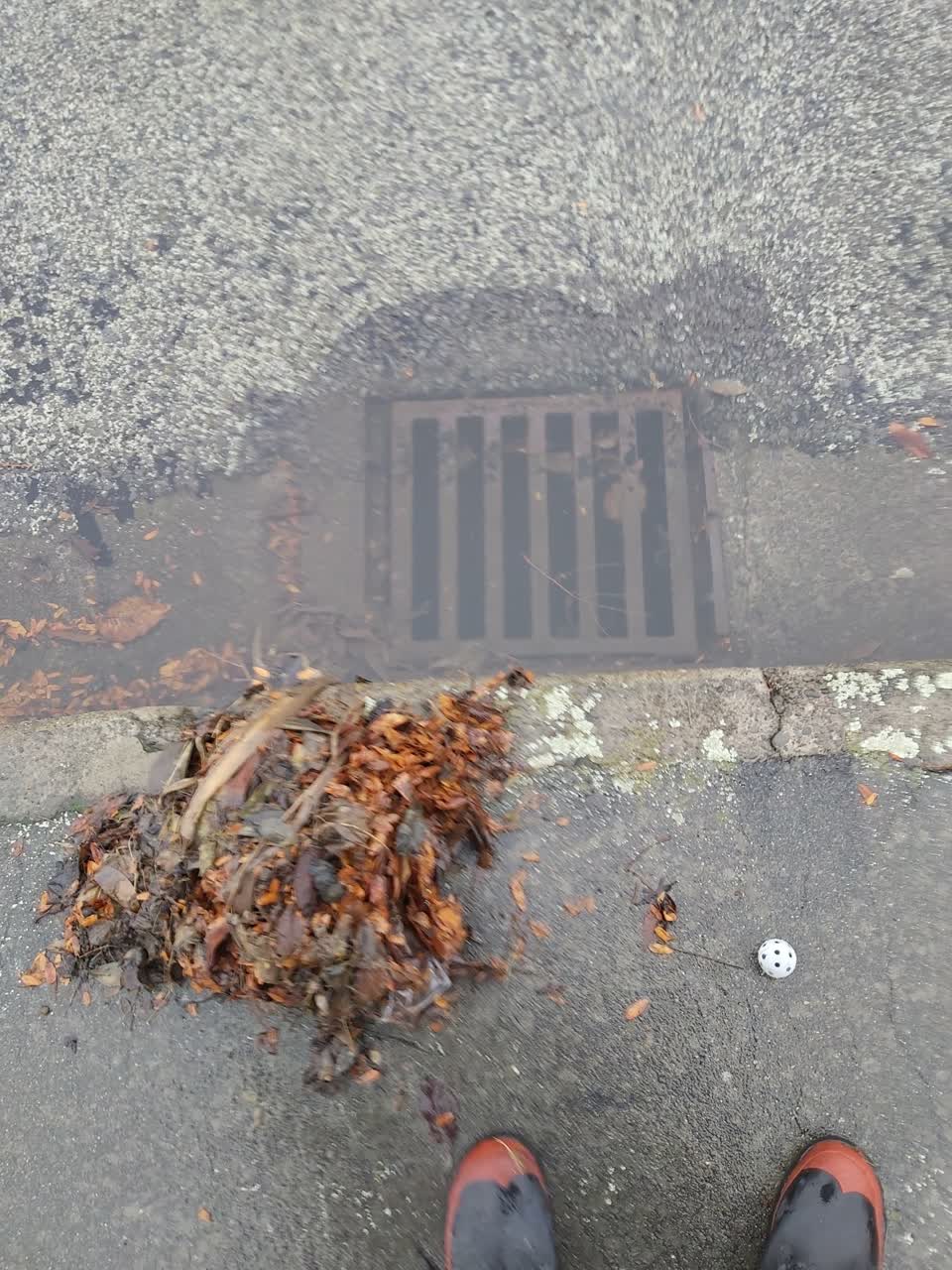 The photograph attached to this wastewater/stormwater report