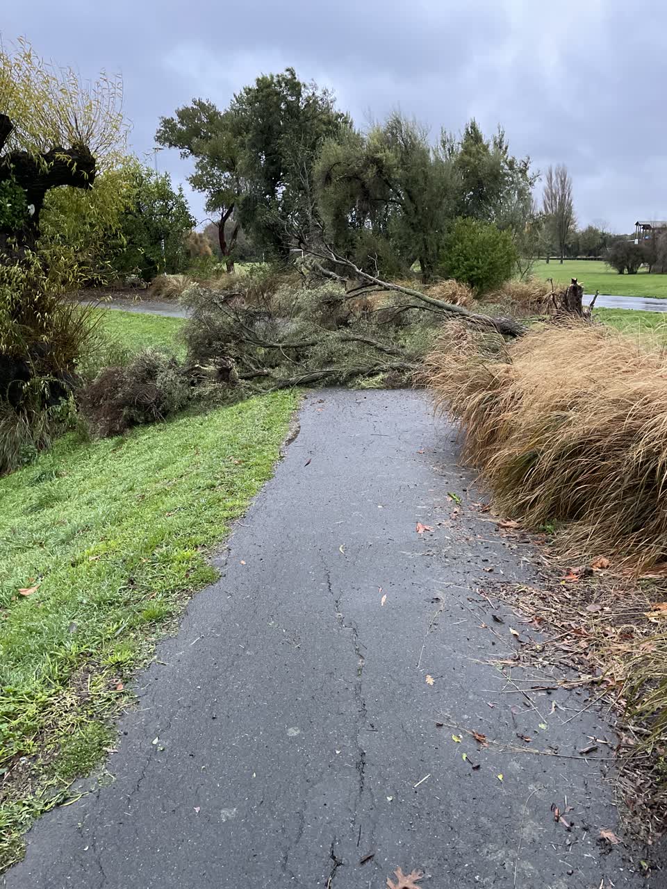 The photograph attached to this parks report