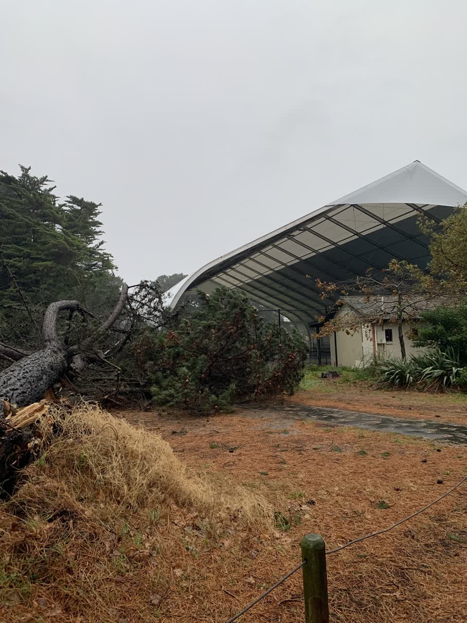 The photograph attached to this parks report