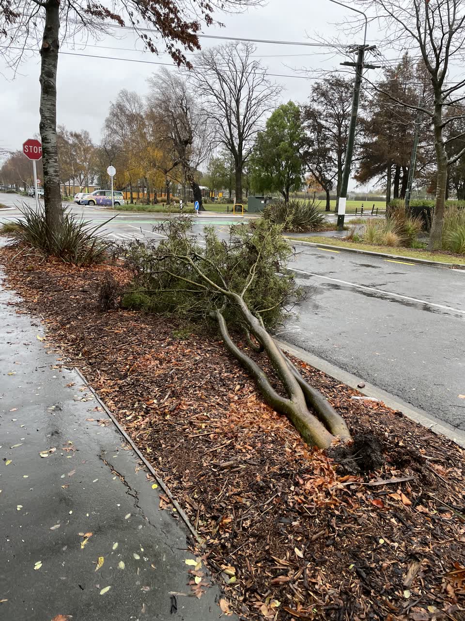 The photograph attached to this parks report