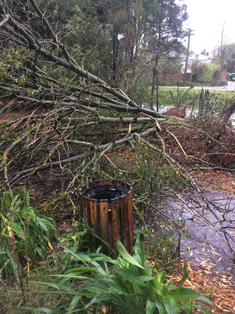 The photograph attached to this parks report